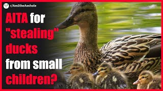 Am I in the wrong for "stealing" ducks from small children? Reddit AITA