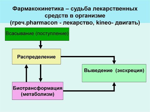 1 №5 ФАРМАКОКИНЕТИКА, ВСАСЫВАНИЕ, РАСПРЕДЕЛЕНИЕ ЛВ