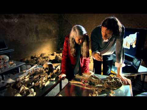 Pompeii - Life and Death in a Roman Town ( Mary Beard )