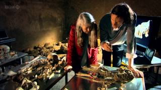 Pompeii - Life and Death in a Roman Town ( Mary Beard )