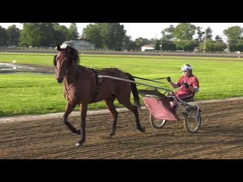 2018 Hambo Contenders   Crystal Fashion, Fashionwoodchopper, Patent Leather