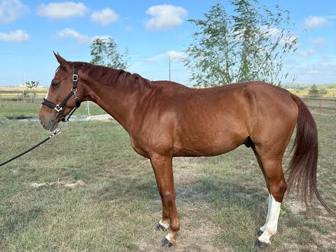 Frappuchino HH Z FOR PLEASURE x DARCO - Video 4 video thumbnail