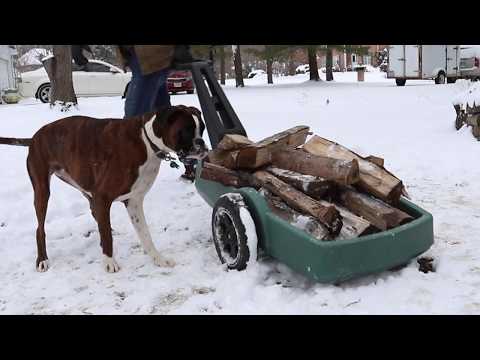 Winter Wonderland Haulin' | Easy haul Flat Bed Cart | American Home by Simplay3