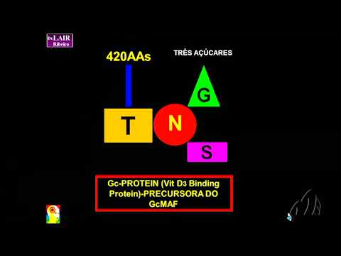 Dr. Lair Ribeiro - Aula [Imunologia Básica] - parte 3