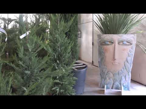 Pistoia: Open Week presso la Giorgio Tesi Group