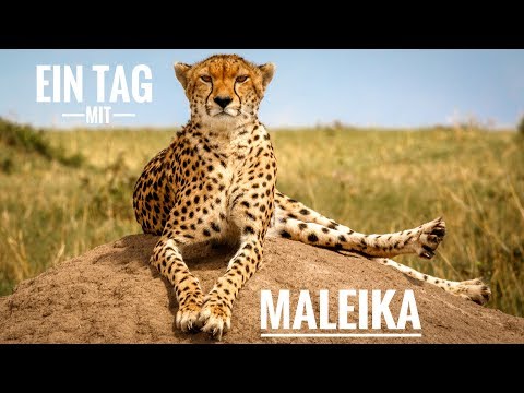 Ein Tag mit Maleika. Auf Fotosafari mit  Martin Buschmann