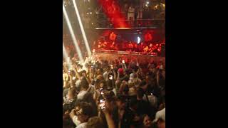 shorts josephcapriati amnesia