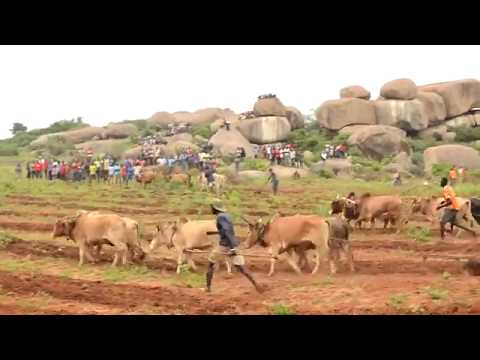 Download Ngelela Shinyanga 3gp Mp4 Codedfilm