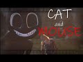 Cartoon Cat Cat And Mouse VHS Tape MOVIE