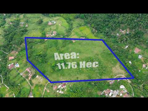A pocos minutos del futuro Casa Rigo Cycling Resort | Lote de 11,76 hectáreas en Támesis