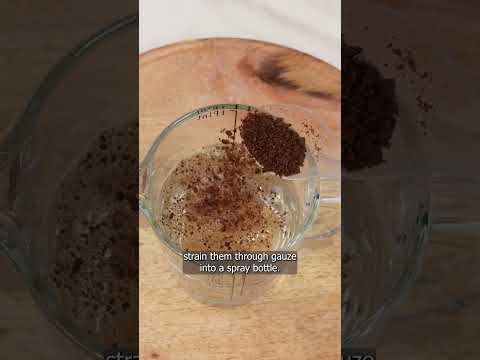 Put CLOVES under BED. Your problems will disappear