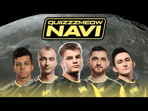quiizzzmeow - NaVi (макфлури)