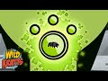 Tardigrade Transformation Wild Kratts In Space Cartoons For Kids Wild Kratts