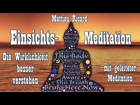 Einsichtsmeditation - Die Wirklichkeit besser verstehen - Matthieu Ricard
