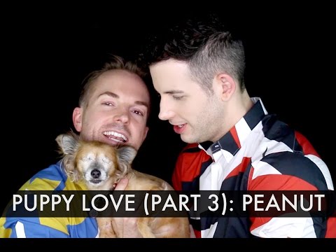 Meet Our Dogs / Puppy Love (Part 3) - Peanut /// McHusbands