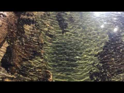 Deux-mille vingt-trois