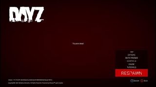 DayZ_The most funniest Guy ever