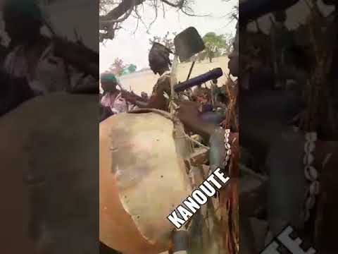 n.gonifo tiekoro koulibaly 74 28 64 06