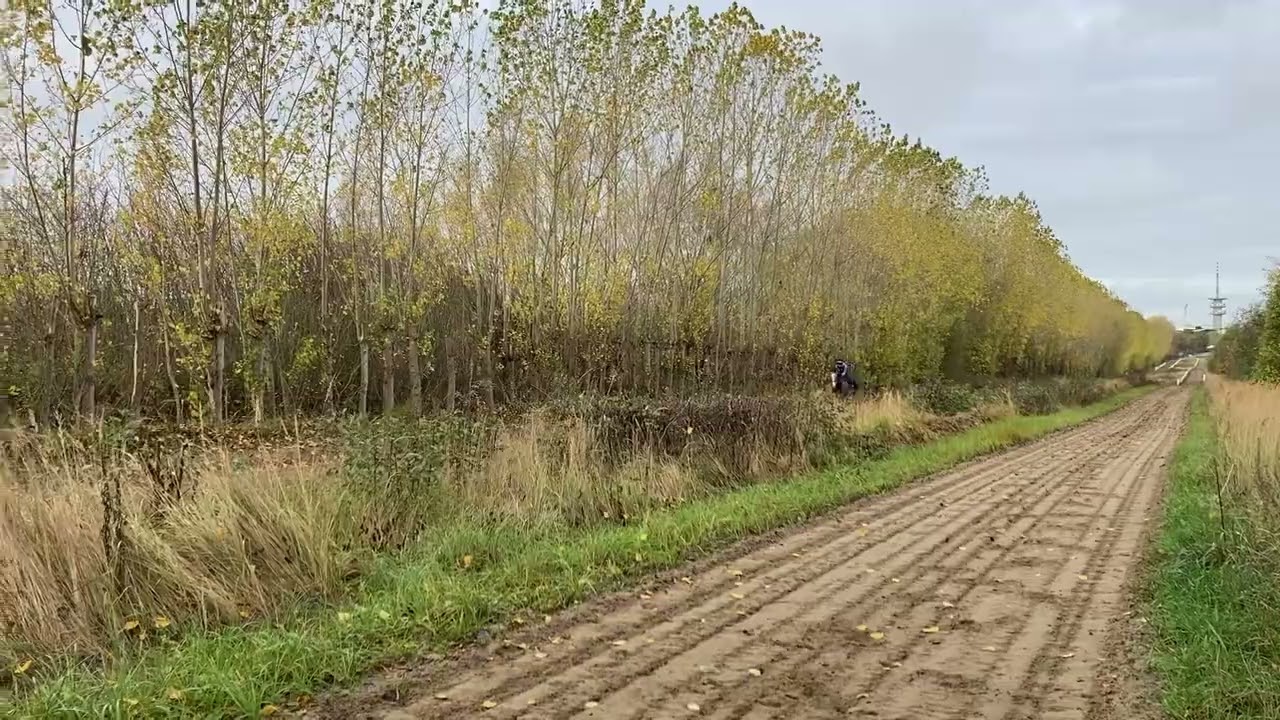 Guidetti cantrar på sandbanan