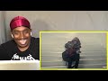 REACTION To Future "Never Stop" *LITUATION REACTION To Future "Never Stop" *LITUATION