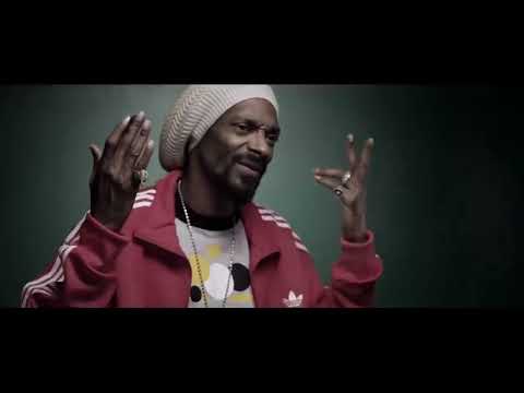 METHOD MAN & DMX & SNOOP DOGG & NAS  -  Bring it back music video mix