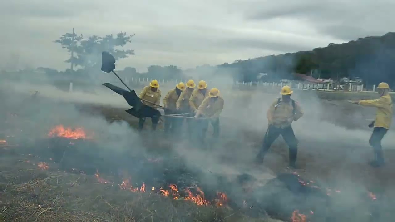 Brigada 2022 (formação)