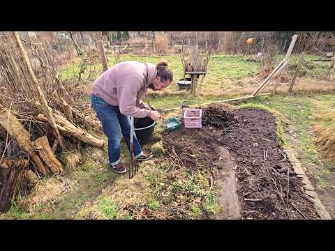 Pferdemist: Humus-Booster & Waldschätze | Folge 334