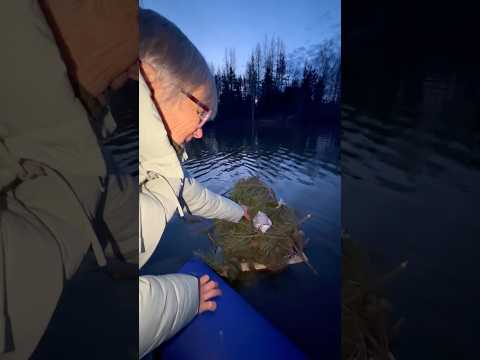 Нашли гнездо с пришельцем посреди озера..🤯🪺👽