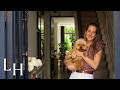 Inside Interior Designer Hannah Hampton S Beautifully Renovated London Townhouse