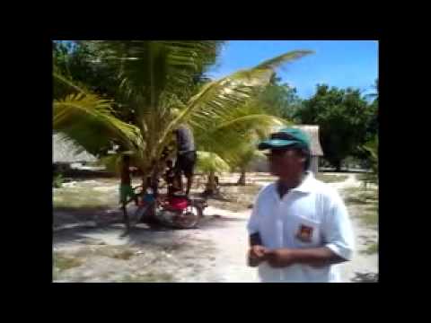 Ai tera te iango irou   Beru Is Artist