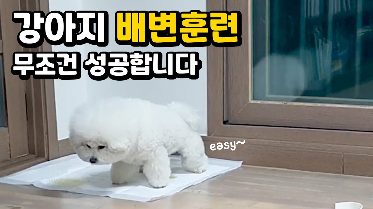 object-cover transition-all