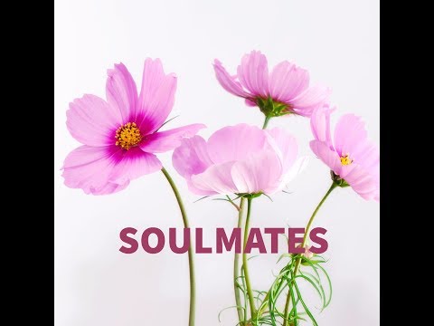download lagu mp3 mp4 Soulmate Identifying Marks, download lagu Soulmate Identifying Marks gratis, unduh video klip Soulmate Identifying Marks