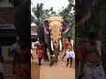 ആന പ്രേമി AANA PREMI VIDEO NITHIN MOHAN