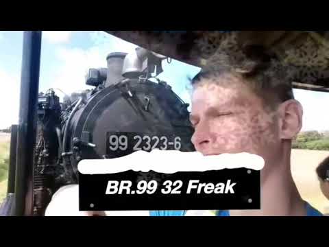 Der vorerst letzte Twindexx Vario in Calau mit 445 001/009 (8.12.17)