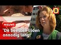 Woede over slachterij Boxtel | Omroep Brabant