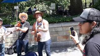 The Hogslop String Band - Crow Black Chicken