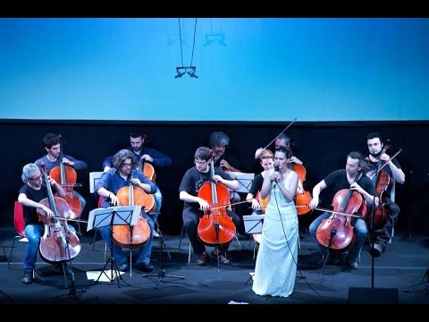 Memory Cats Musical