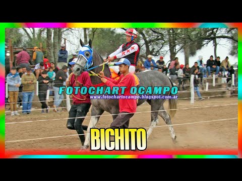 BICHITO - General Pinedo - Chaco 07/04/2024