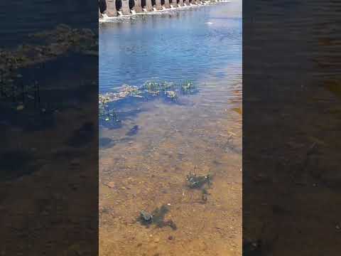 RIO JAGUARIBE EM SABOEIRO CEARÁ