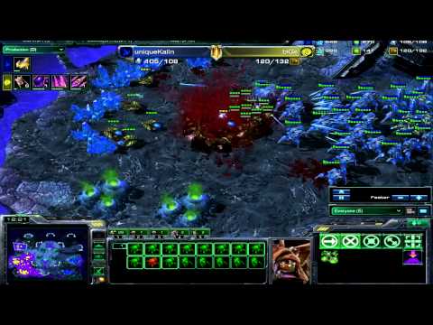 R4ptorStarcraft Game #5 Bigs[Z] vs uniqueKalin[P] #1 part 1/2
