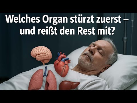 Dein Körper altert nicht langsam – er kollabiert schrittweise