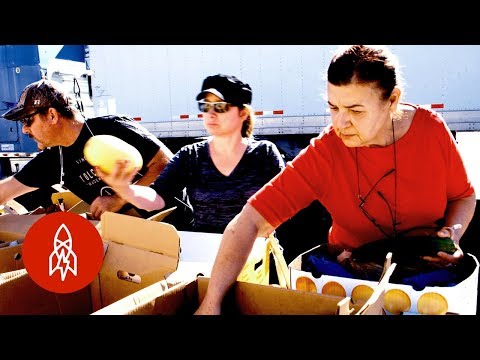 終結美墨邊境的食物浪費問題 (Fighting Food Waste on the Border)