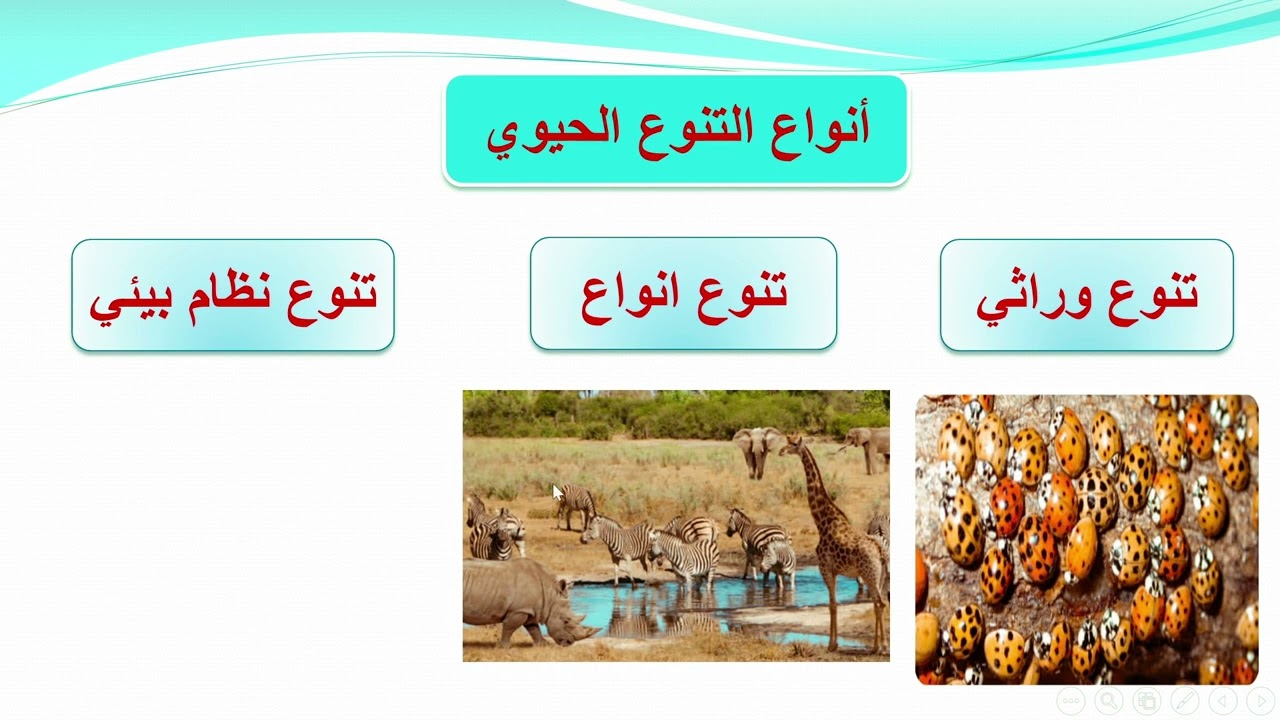 التنوع الحيوي