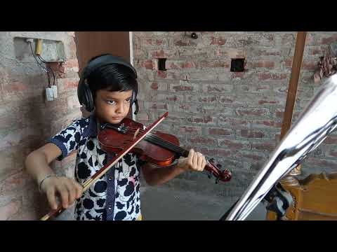 The flower of county down violin