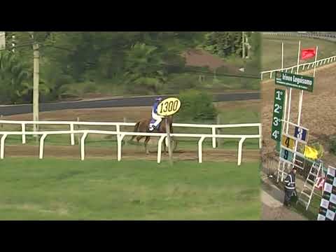 SINT FLORIDA 220224 c07 - 1° MR. HUAQUERO