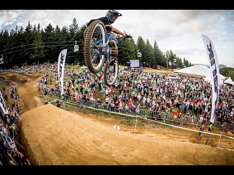 Steps to the Top - R-Dog