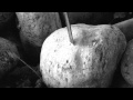 Element Video Stone