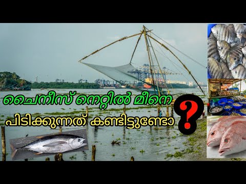 Cheena Wala Chinese net fort kochi beach Amazing Nets