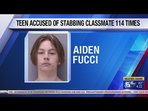 Teen Accused of Stabbing Classmate 114 times