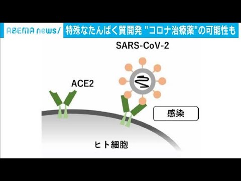 コロナウイルスの治療薬が目前に?この治療法には大きな可能性があります